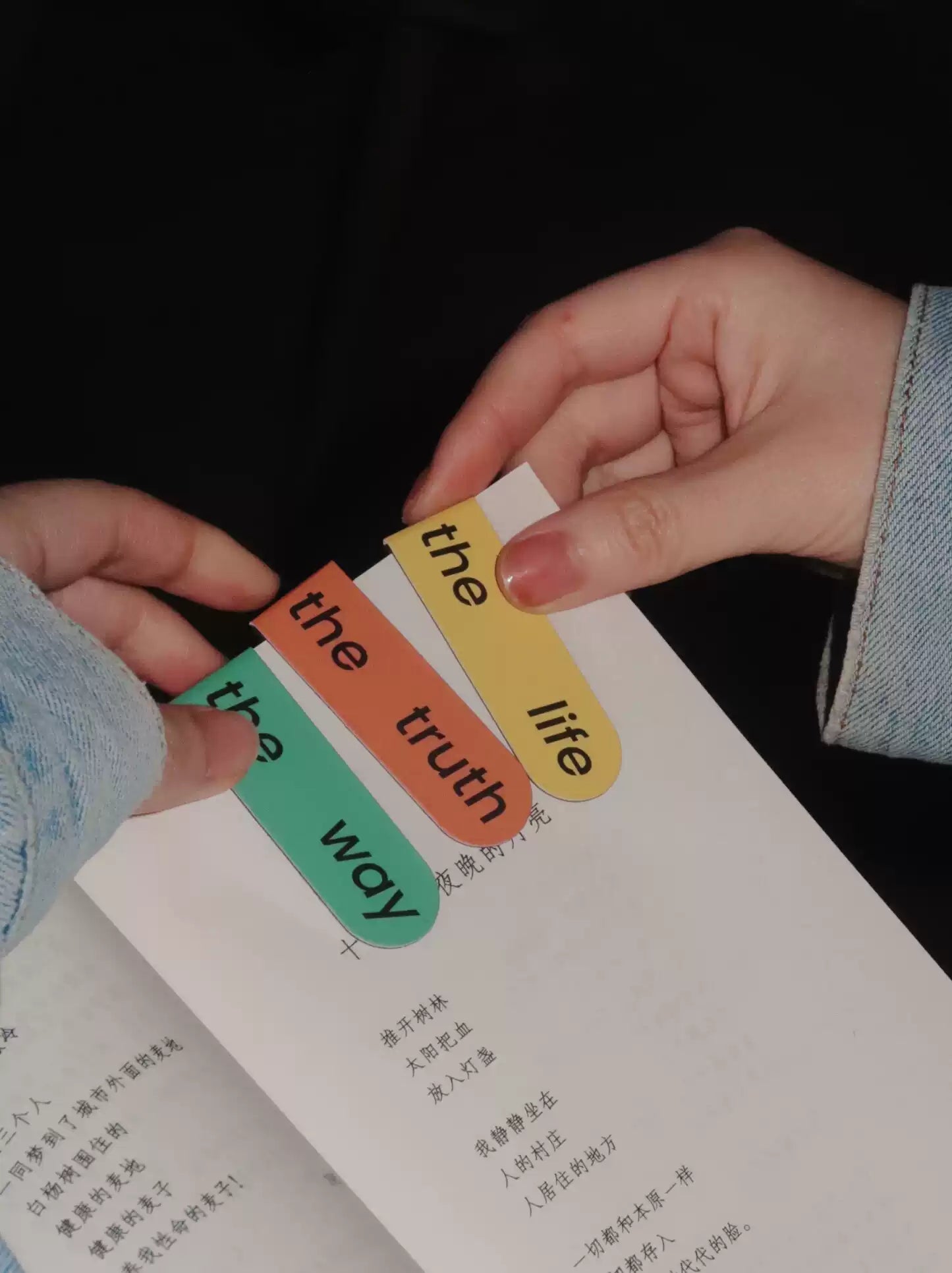 {heym}The Way, The Truth, The Life — Magnetic Double-Sided Bookmark