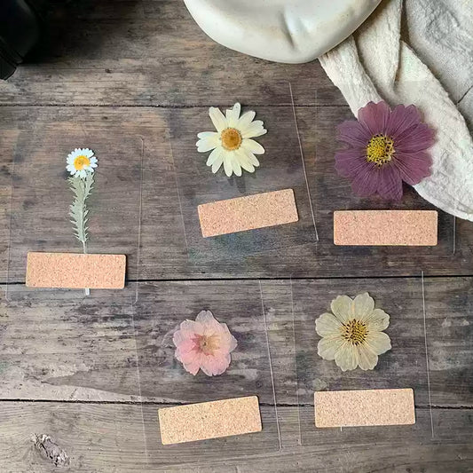 {His Creation}·Plant greeting cards bookmarks·Handwritten blessing dried flower crafts